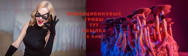 соль курить ск Алексин