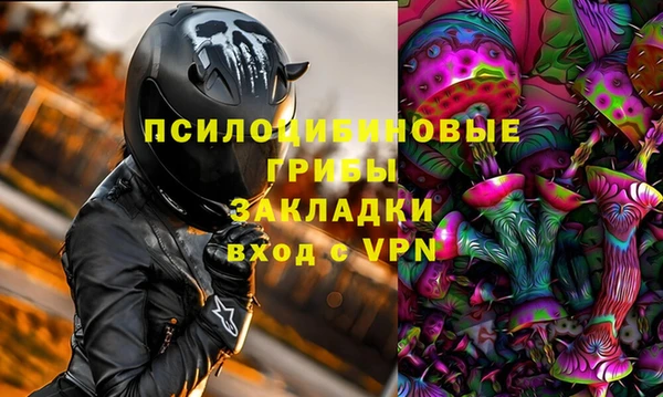 СК Алзамай