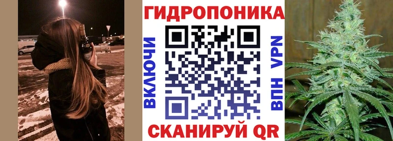 Шишки марихуана семена  Заводоуковск 
